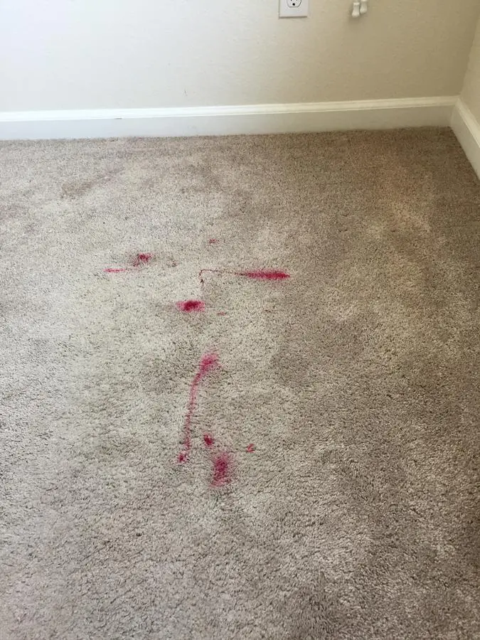 Carpet Repair Guys-美圖3